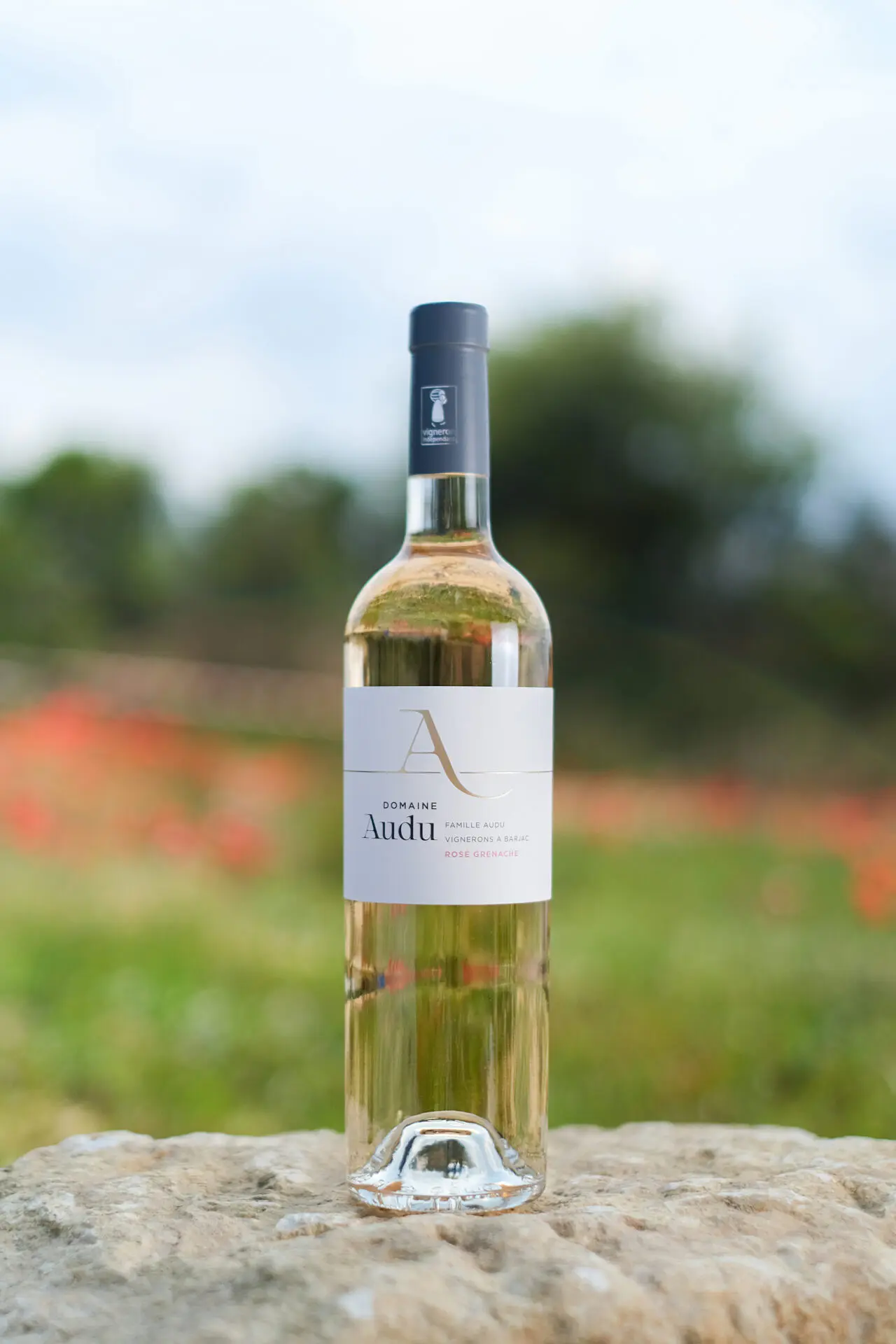 rosé grenache