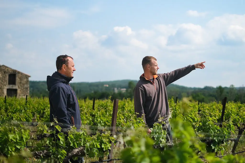 Eric et Romain - Domaine Audu